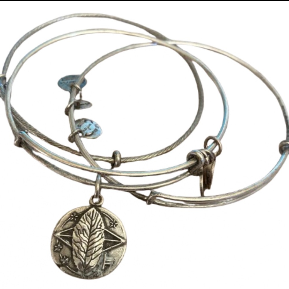 Alex and Ani Set Lot 3 Silver Stacking Bangles Rowan inspirational Bracelets